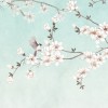 Honpo | Orient Sky